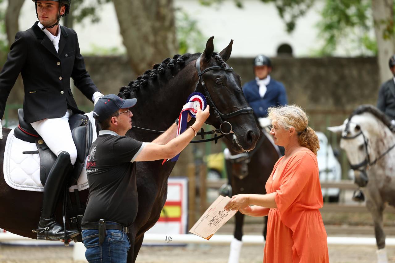 Jango NP - PRE Andaluso 2019 ,  INTIMO SALVATELLA