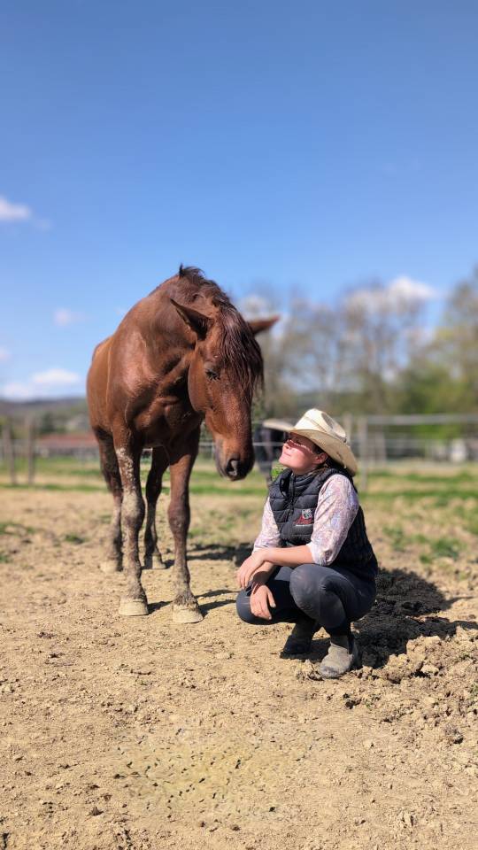 Intero PRE Andaluso In vendita 2022 Sauro ,  CAPRICHOSO MANGO