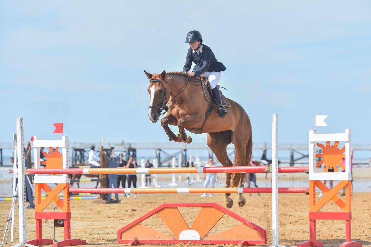 Cavalla Sella Francese In vendita 2016 Sauro brulé