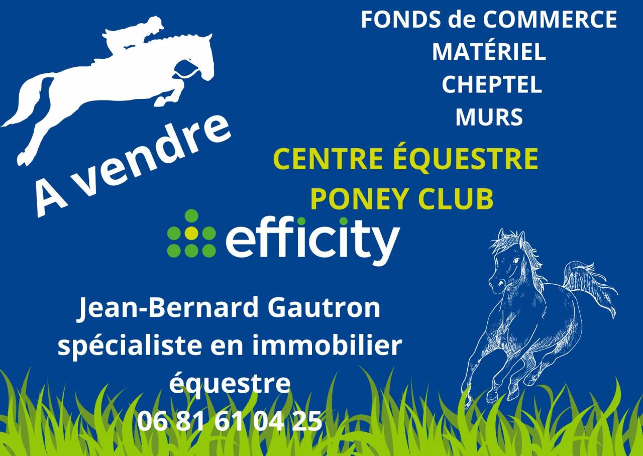 Pony club In vendita Loire-Atlantique