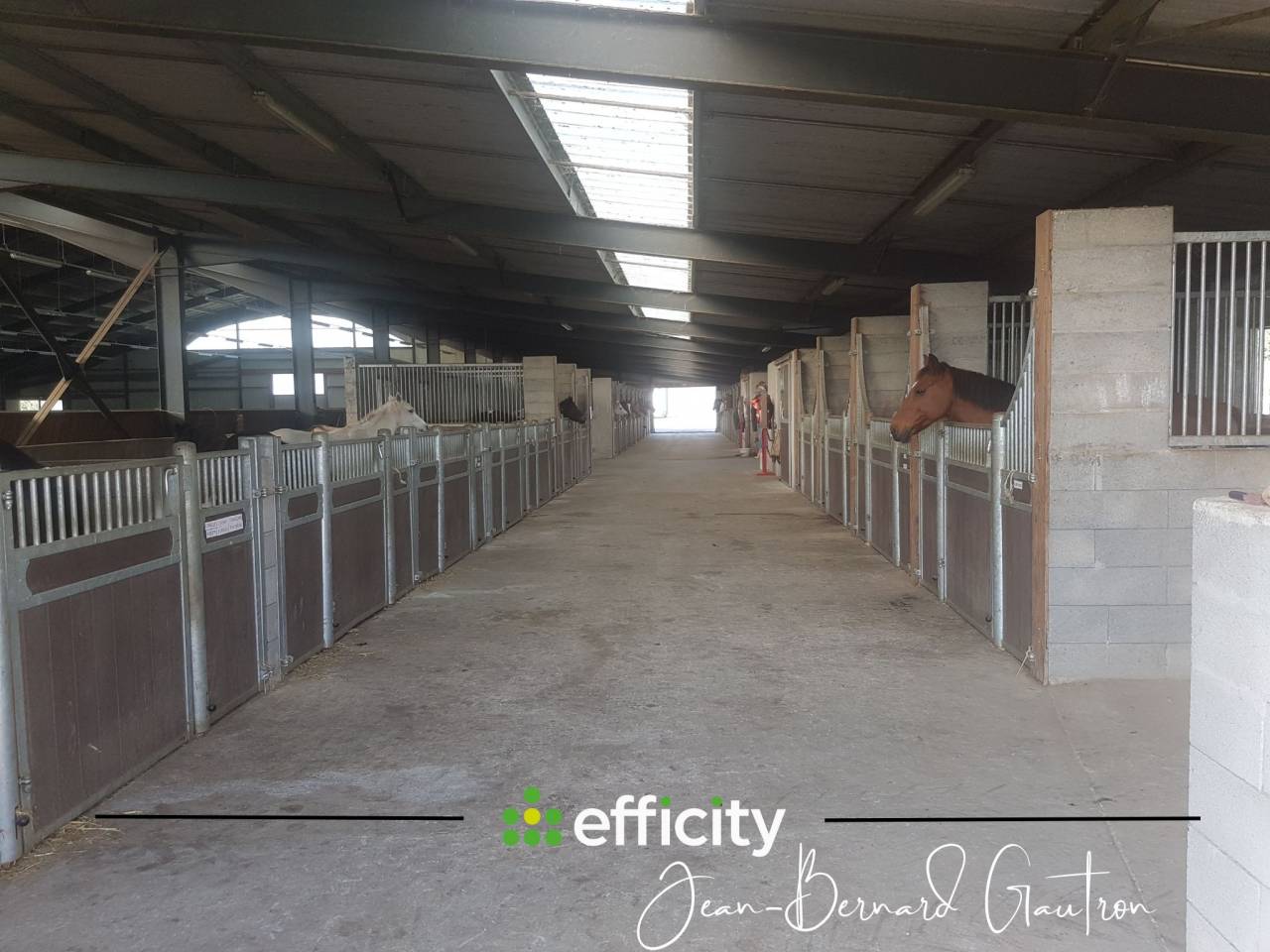 Pony club In vendita Loire-Atlantique