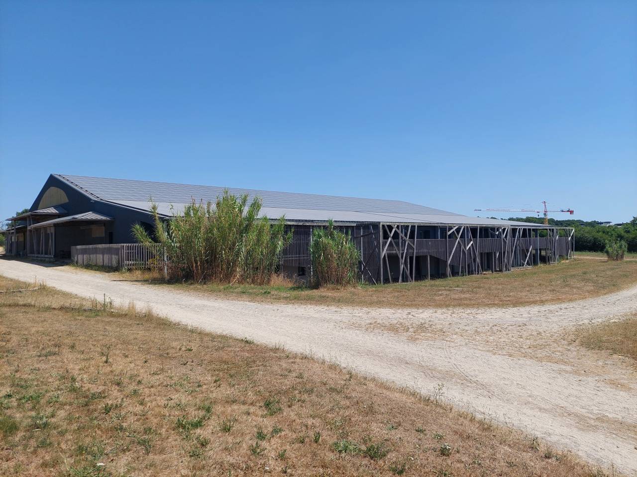 Pony club In vendita Loire-Atlantique