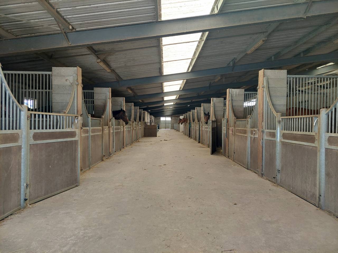 Pony club In vendita Loire-Atlantique