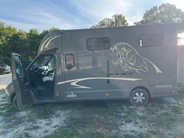 Van per Cavalli Trans Box RM08 2018 Occasione