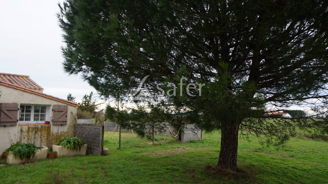 Proprietà equestre In vendita Vendée