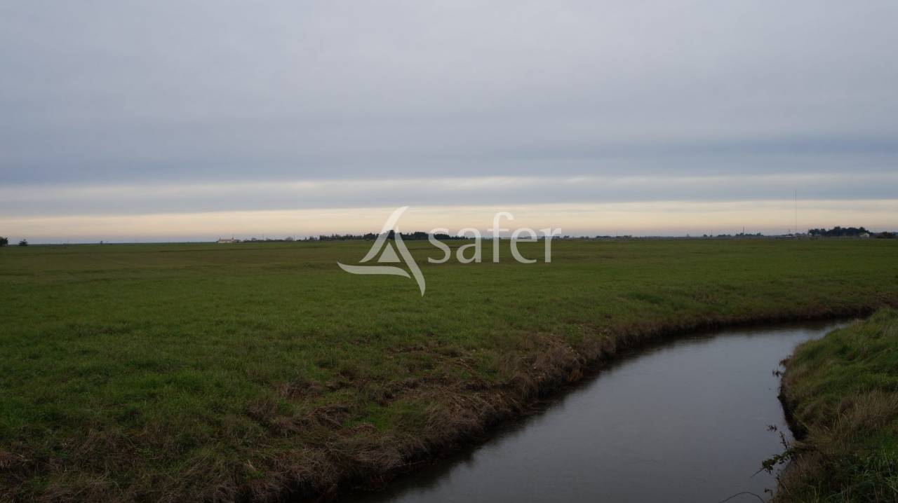 Proprietà equestre In vendita Vendée