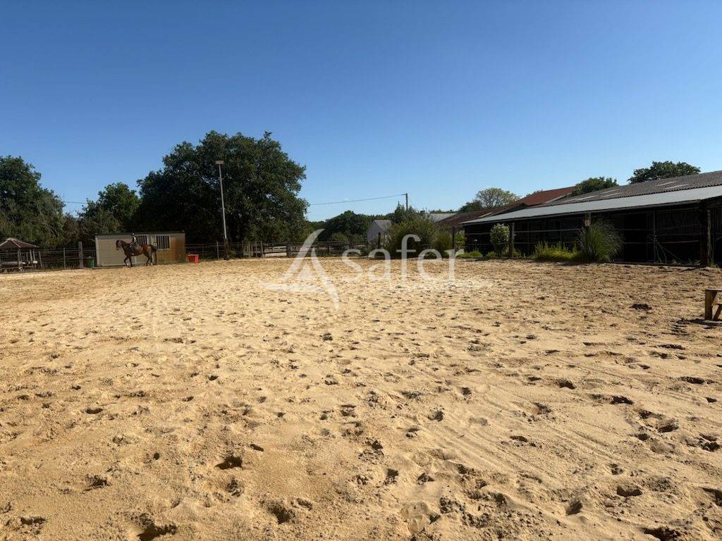 Proprietà equestre In vendita Loire-Atlantique