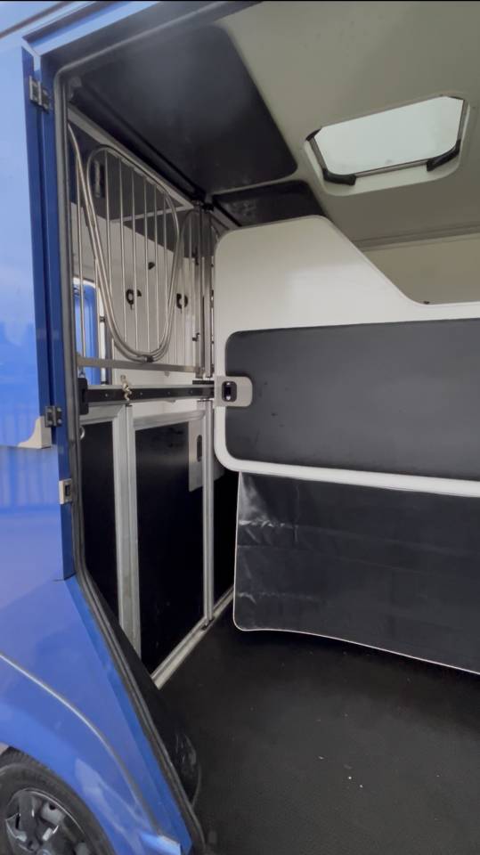 Van per Cavalli Renault DCI 180 2021 Occasione