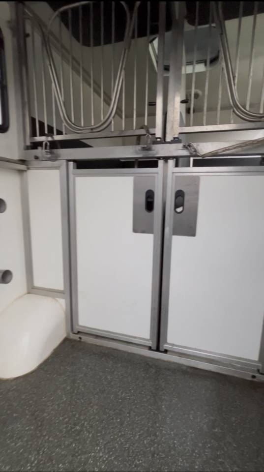 Van per Cavalli Renault DCI 180 2021 Occasione