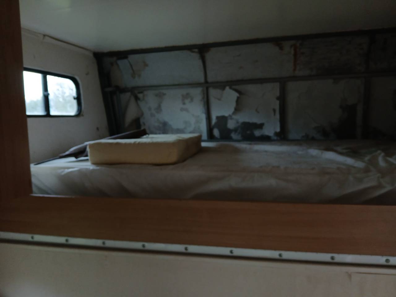 Camion per Cavalli Renault  1996 Occasione