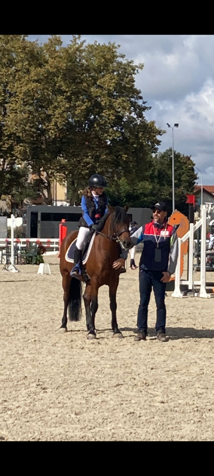 Castrone Welsh Poney (Sezione C) In vendita 2018 Baio