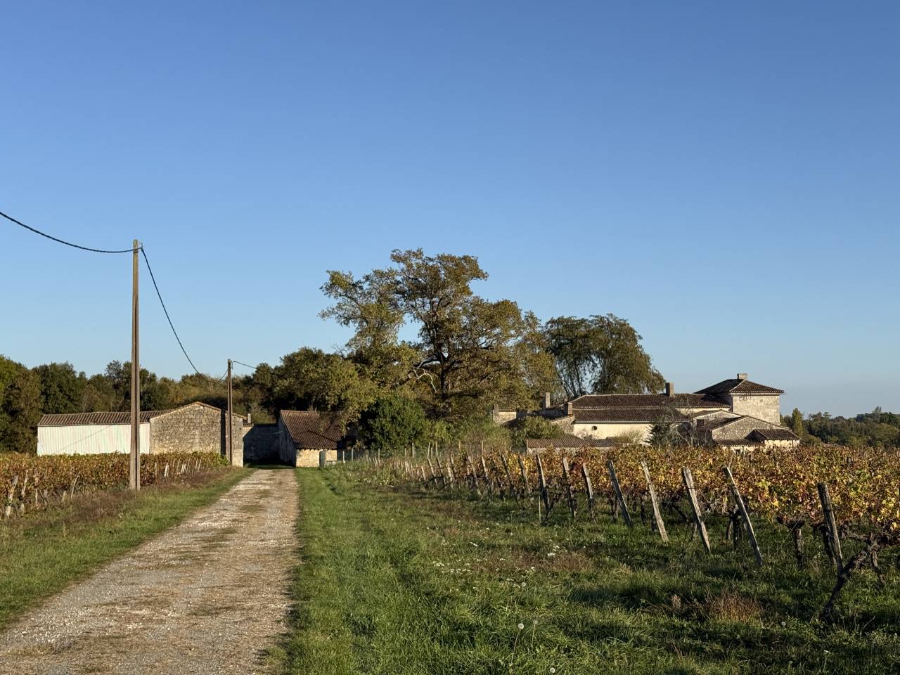 Proprietà rurale In vendita Gironde