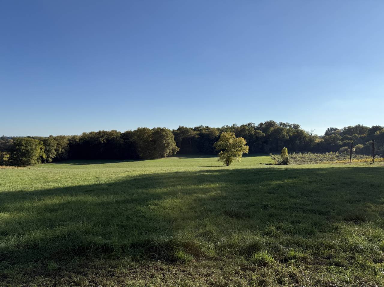 Proprietà rurale In vendita Gironde