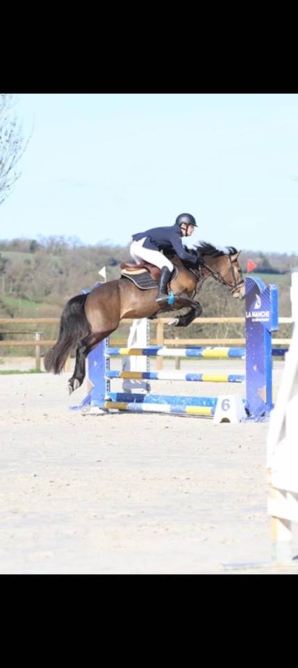 L'ancelot du ménage  - New Forest 2021 ,  SILVERLEA SIMPLY RED