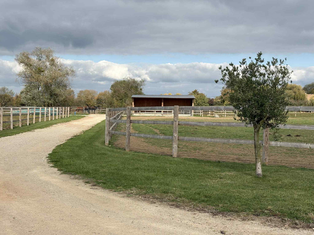 Scuderia per proprietari In vendita Calvados