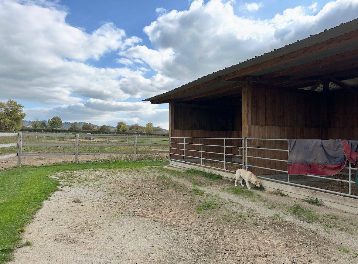 Scuderia per proprietari In vendita Calvados