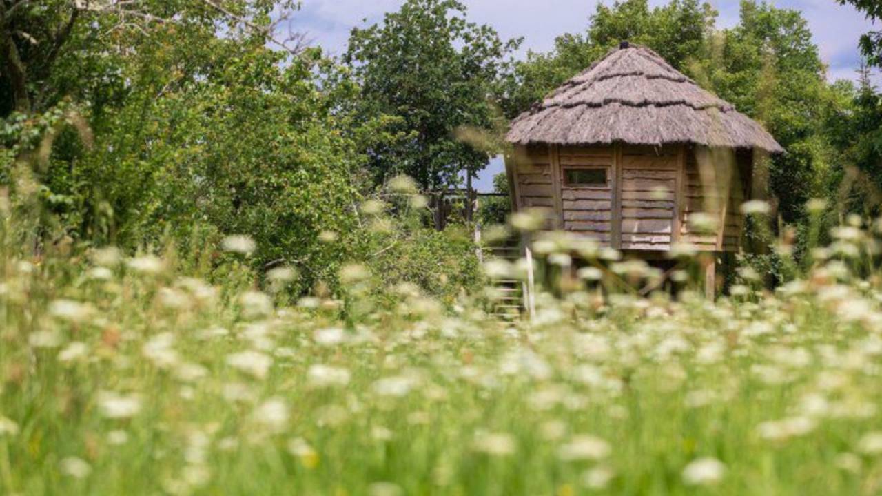 Proprietà equestre In vendita Gers