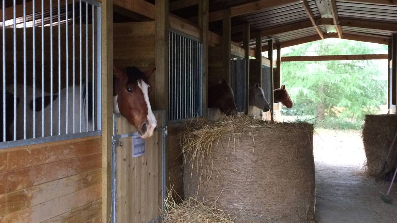 Proprietà equestre In vendita Gers
