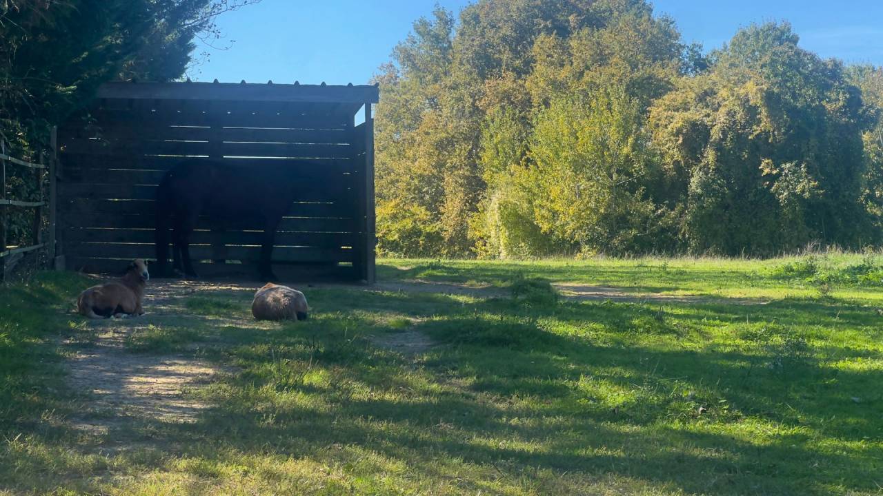 Proprietà equestre In vendita Gers