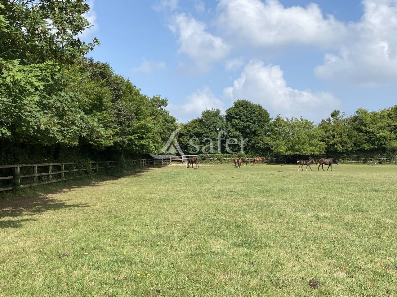 Azienda agricola In vendita Orne