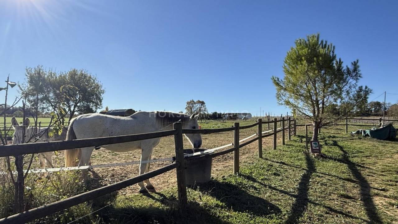 Proprietà equestre In vendita Gard