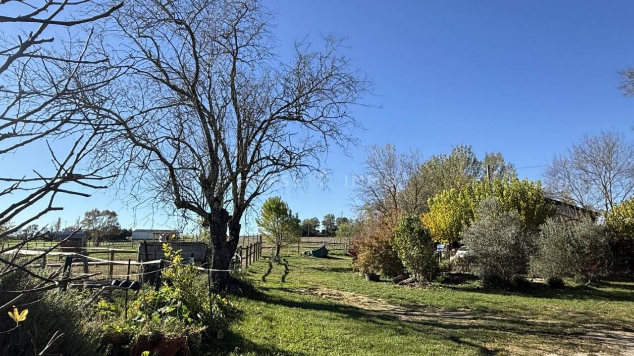 Proprietà equestre In vendita Gard