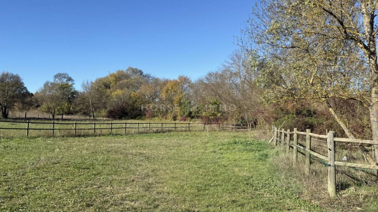 Proprietà equestre In vendita Gard