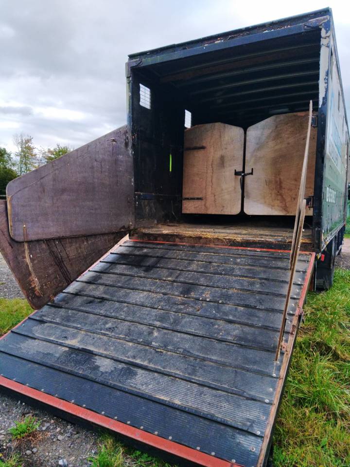 Camion per Cavalli Volvo VOLVO FL6  1997 Occasione