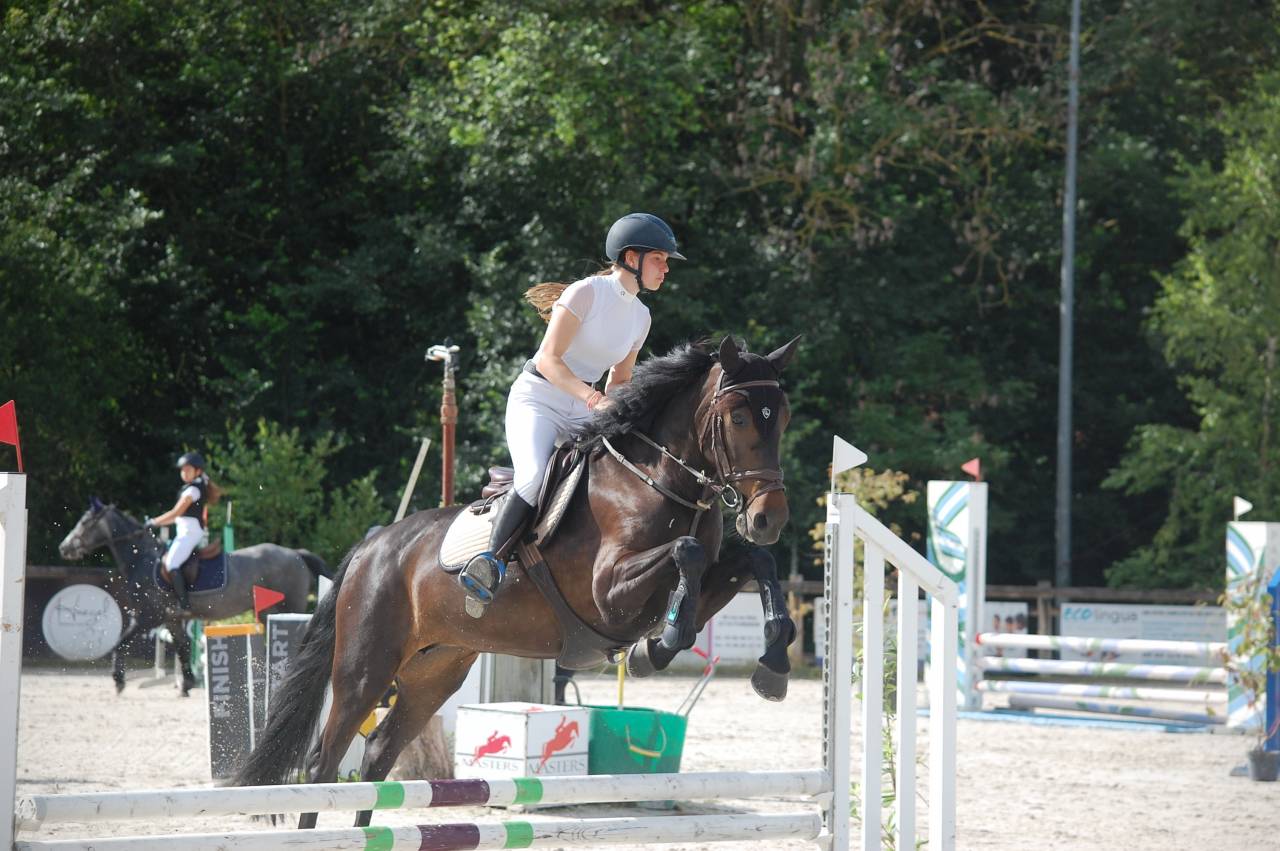 Cavalla Lusitano In vendita 2013 Baio scuro