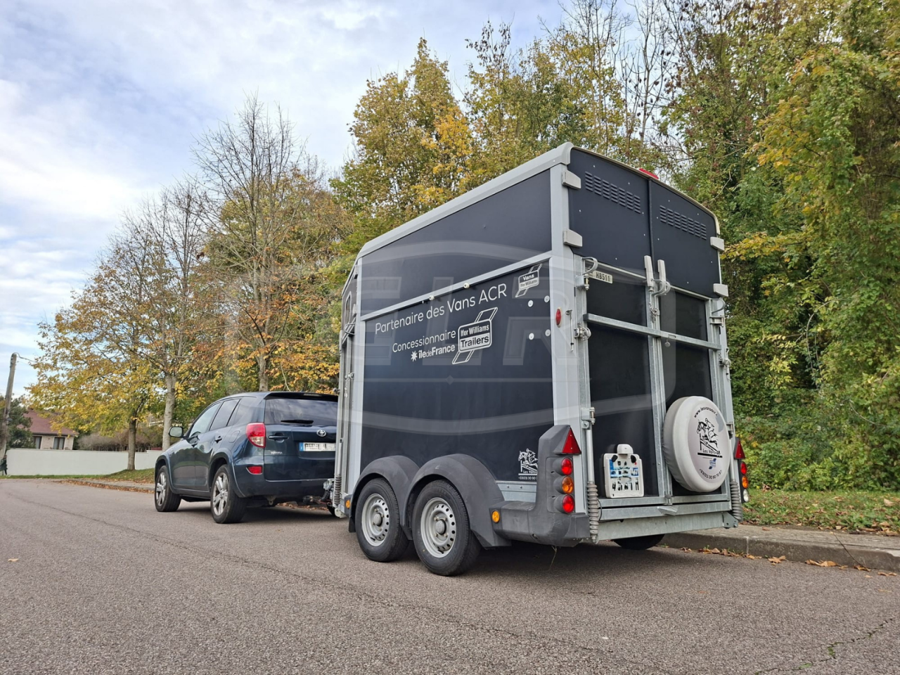 Trailer Ifor Williams HB 511 OBLIQUE PP 2 Cavalli 2017 Occasione