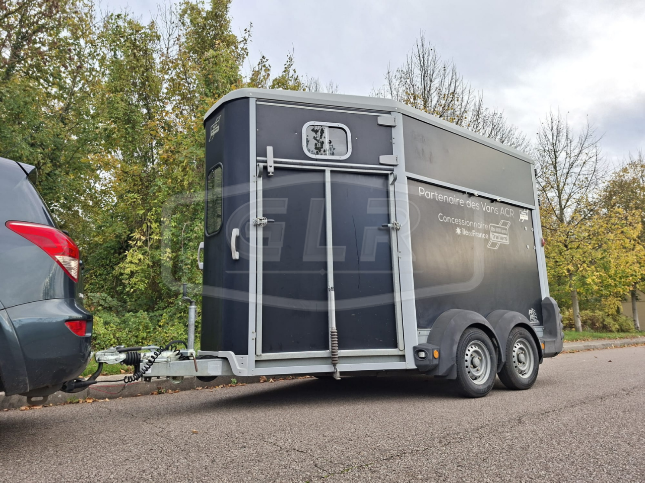 Trailer Ifor Williams HB 511 OBLIQUE PP 2 Cavalli 2017 Occasione
