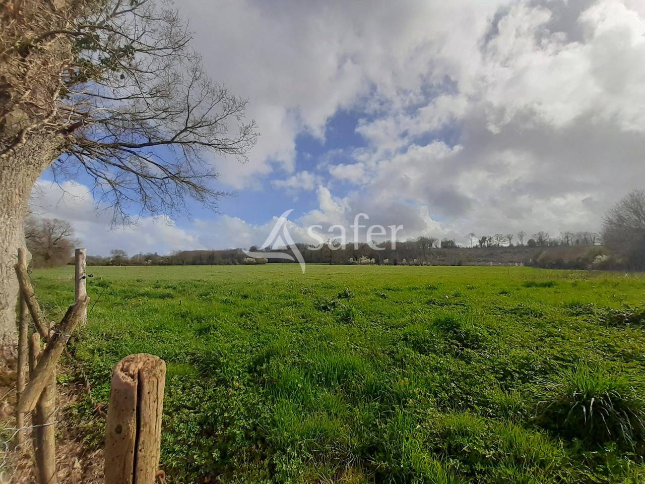 Azienda ovina In vendita Deux-Sèvres
