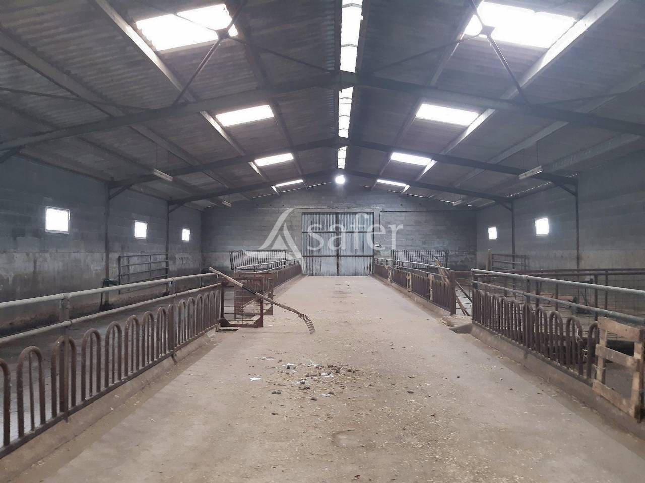 Azienda ovina In vendita Deux-Sèvres