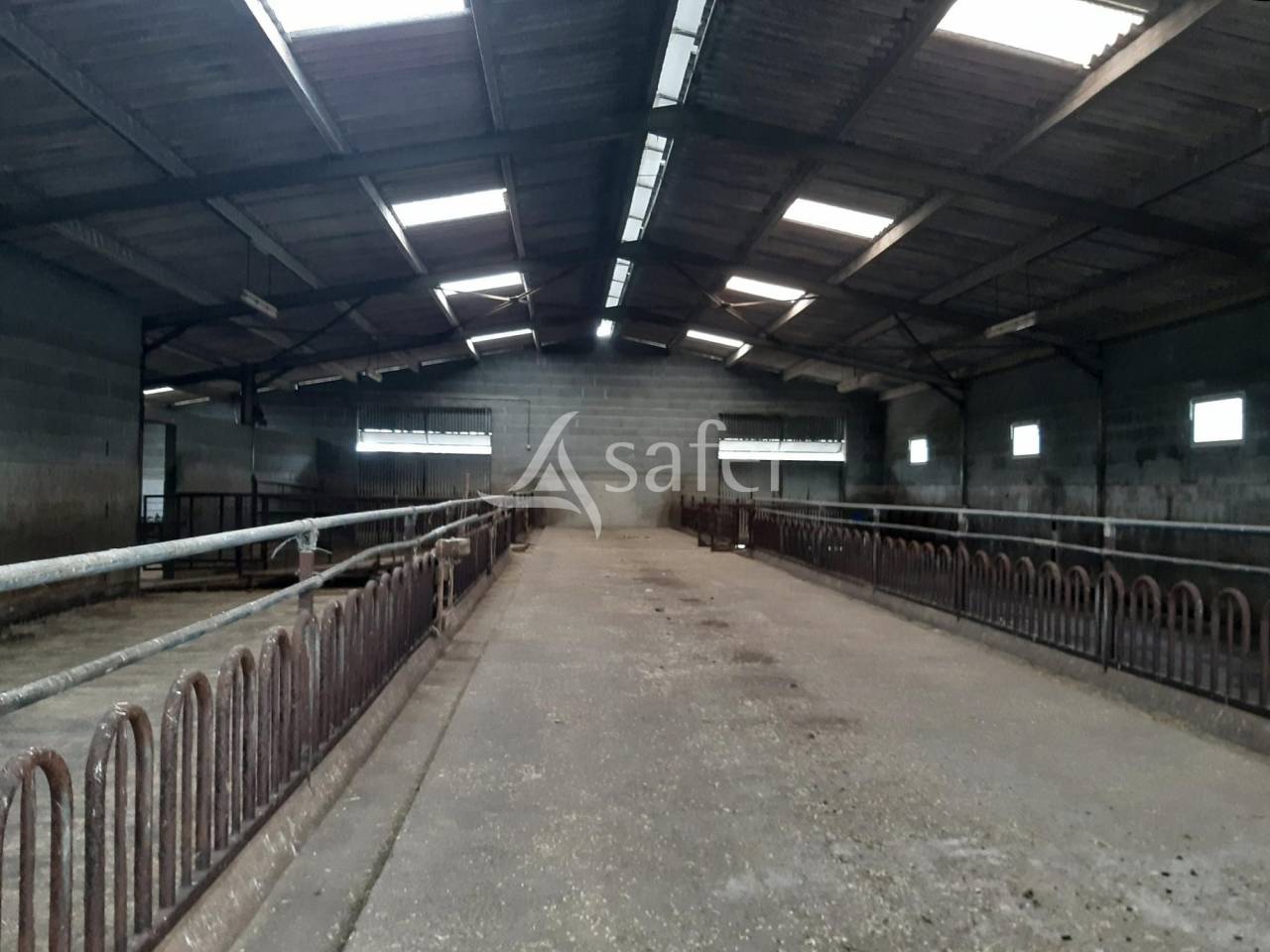 Azienda ovina In vendita Deux-Sèvres