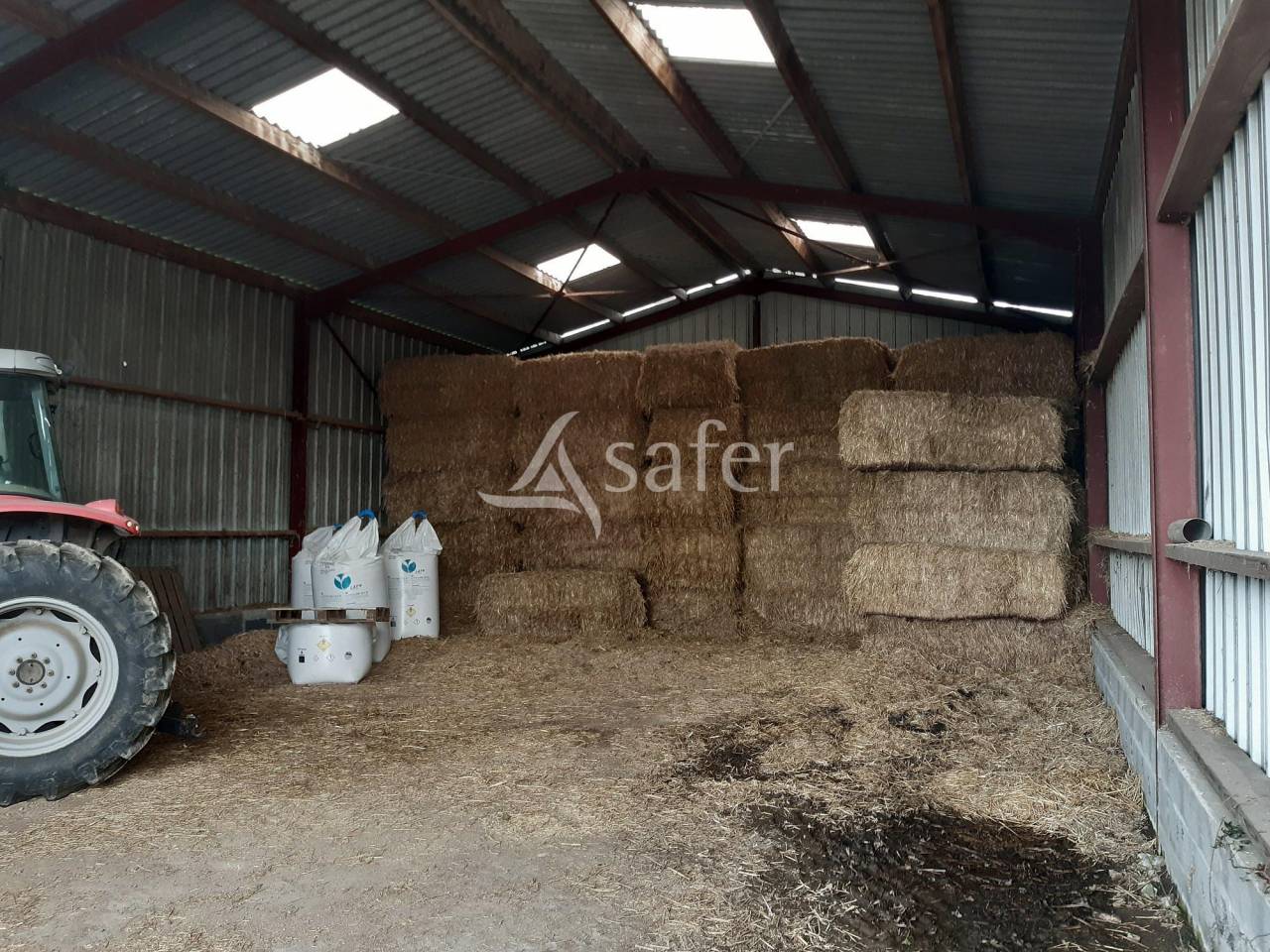 Azienda ovina In vendita Deux-Sèvres