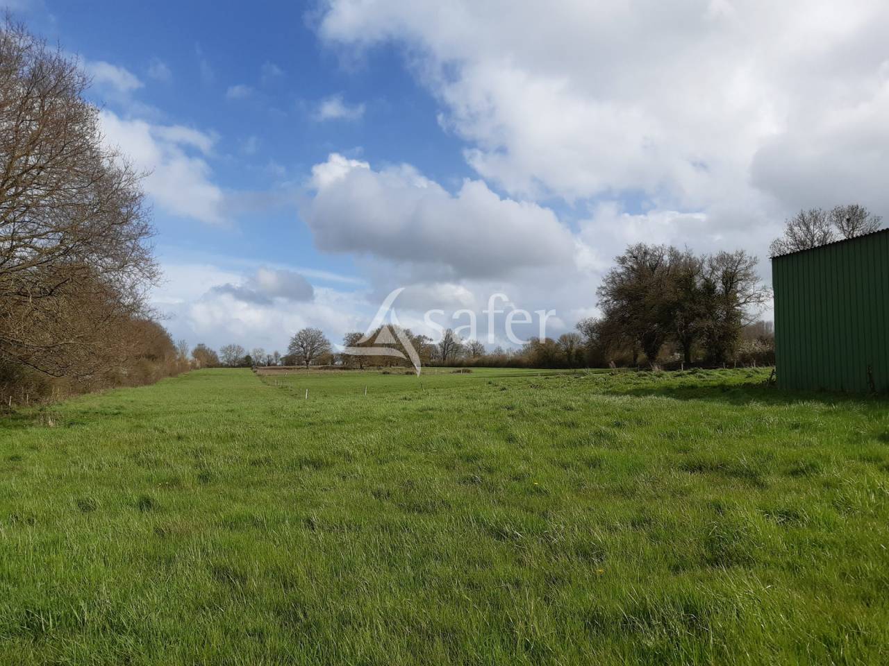 Azienda ovina In vendita Deux-Sèvres