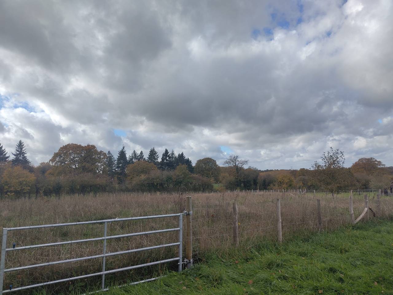 Azienda equestre In vendita Sarthe