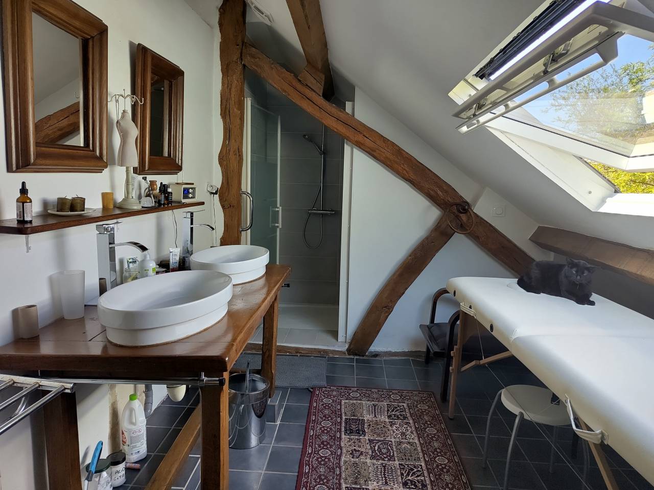 Azienda equestre In vendita Sarthe