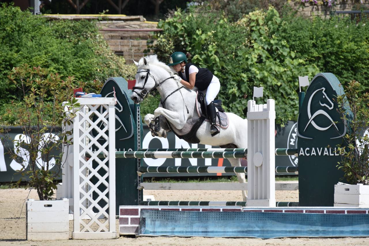 PONY da Salto VINCENTE con FEI