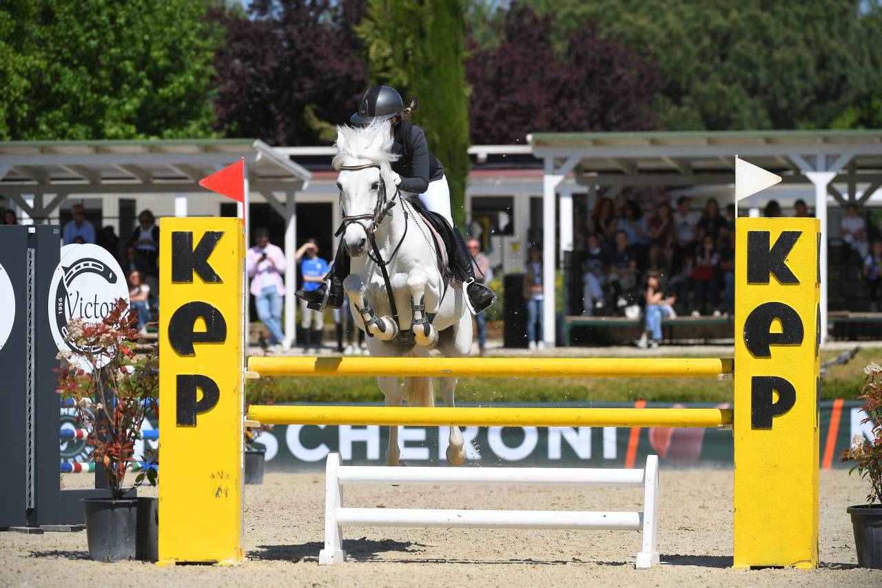 PONY da Salto VINCENTE con FEI