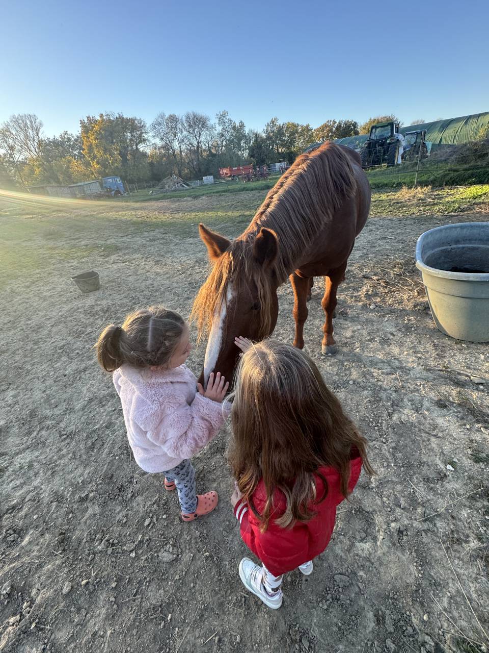 Intero Connemara In vendita 2021 Sauro