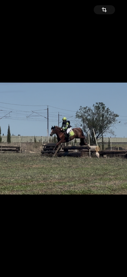 Intero Connemara In vendita 2021 Sauro