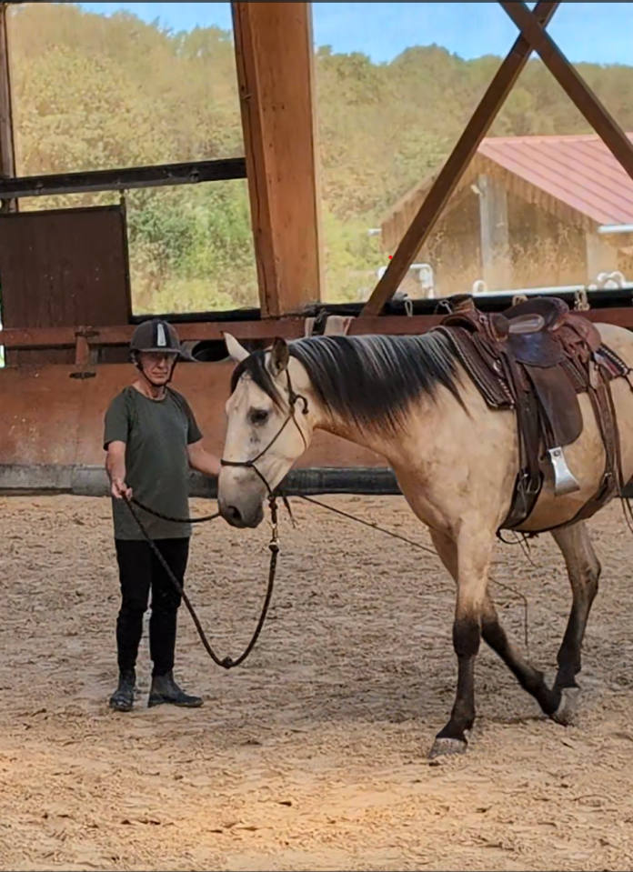 Castrone PRE Andaluso In vendita 2022 Isabella