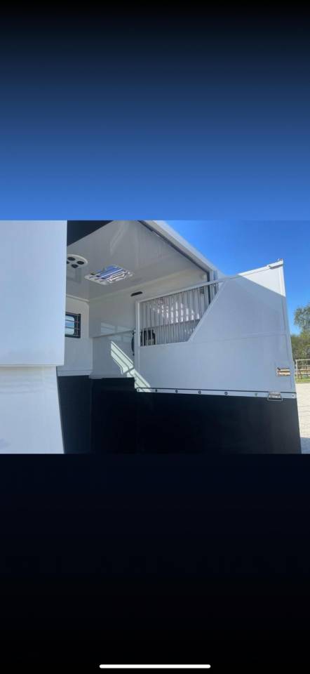 Van per Cavalli Chardron Renault Master 2023 Nuovo