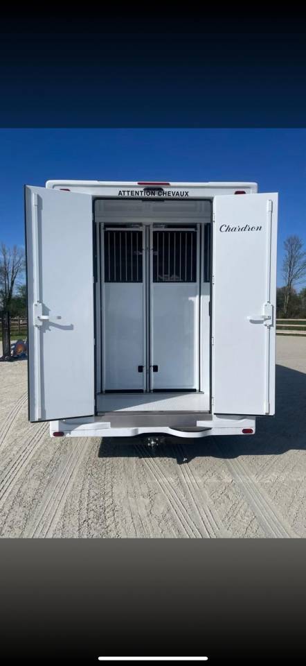 Van per Cavalli Chardron Renault Master 2023 Nuovo