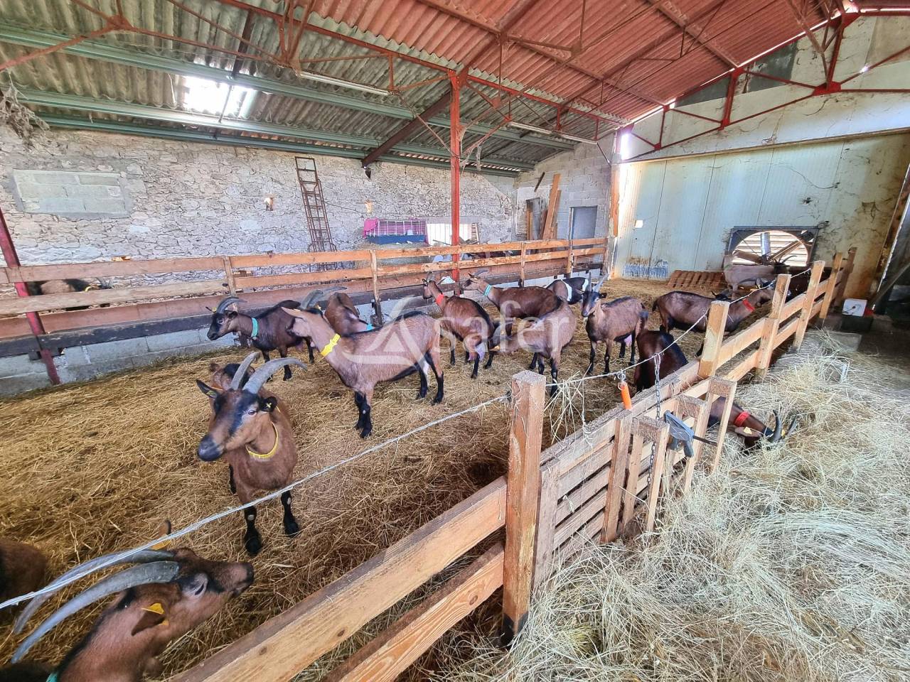 Propriet&agrave; equestre In vendita Tarn-et-Garonne