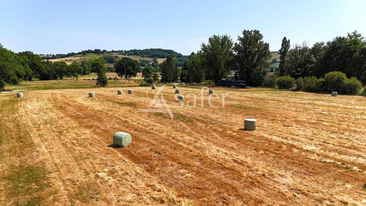 Propriet&agrave; equestre In vendita Tarn-et-Garonne