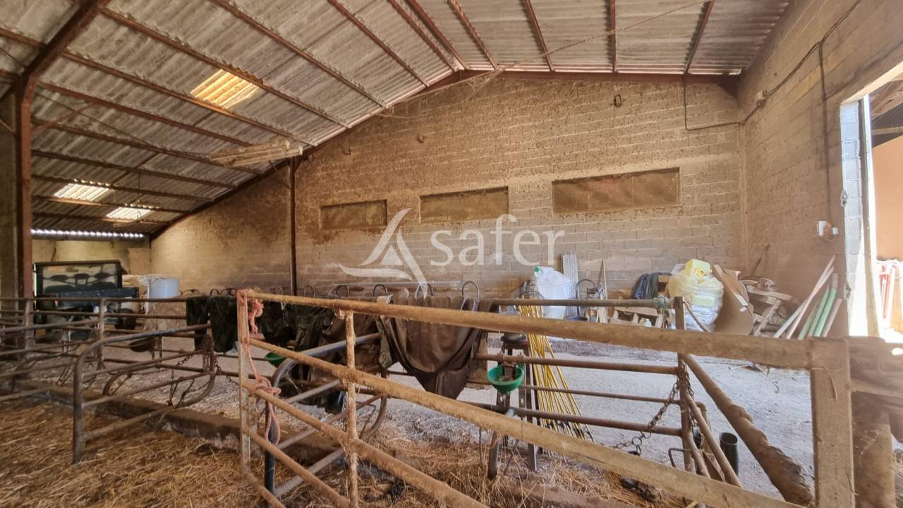 Azienda agricola In vendita Gers