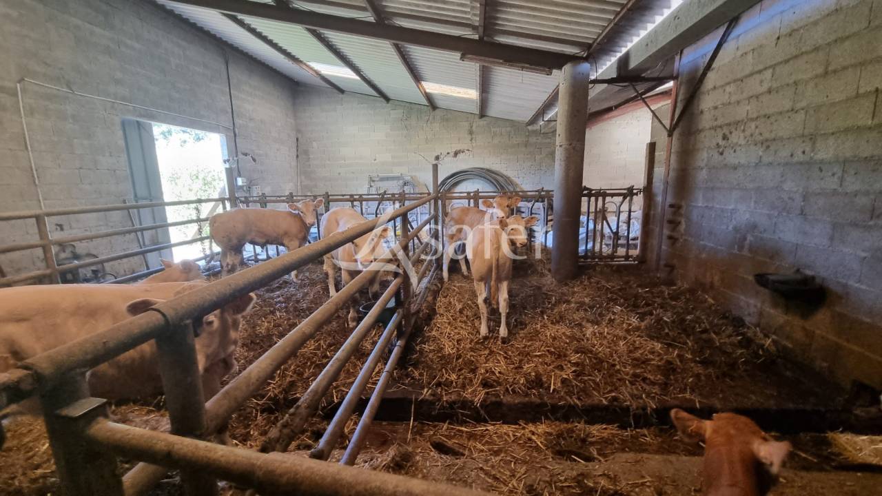 Azienda agricola In vendita Gers