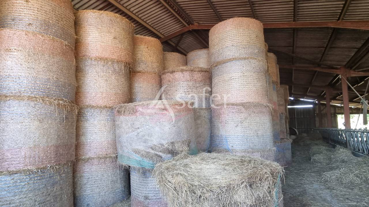 Azienda agricola In vendita Gers